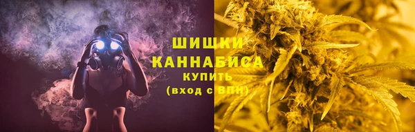 spice Богородицк