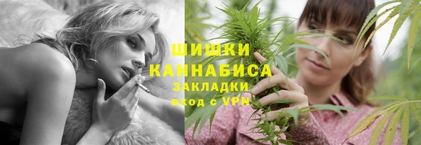 spice Богородицк