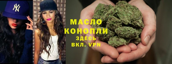 spice Богородицк