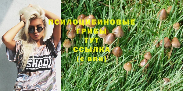 спайс Богданович