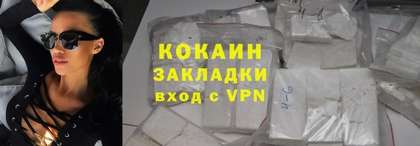 spice Богородицк