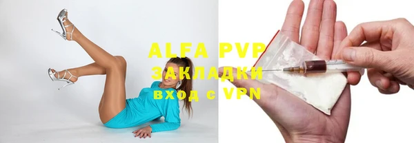 spice Богородицк