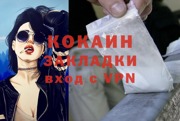 спайс Богданович