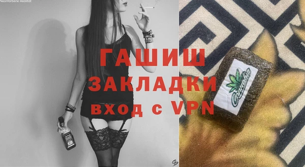 spice Богородицк