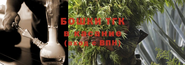 спайс Богданович