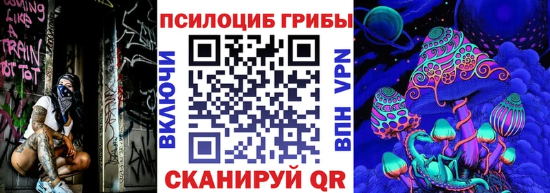 Псилоцибиновые грибы MAGIC MUSHROOMS  hydra онион  Чудово  как найти закладки 